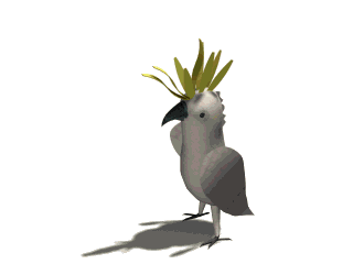 cockatoo animerede-billeder-gif